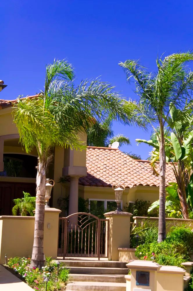 Tree Service Garden Grove Tree Service